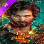 94FBR Pushpa 2 Movie