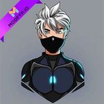 Dark VIP Bomber
