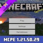 Icon Minecraft 1.21.50.29