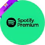 Spotify Premium 8.9.98.488