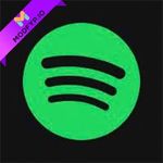 Spotify Wrapped 2024