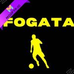 Fogata