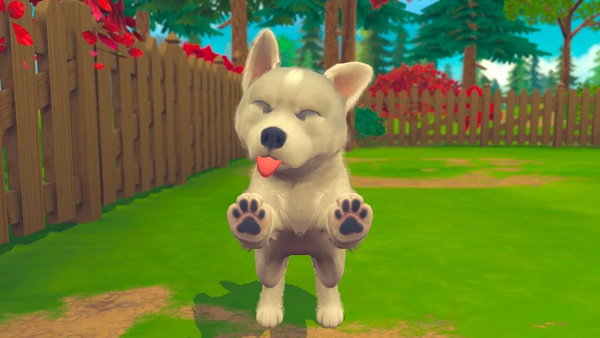 Nintendogs