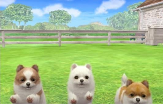 Nintendogs for Switch apk