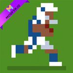 Icon Retro Bowl College Football